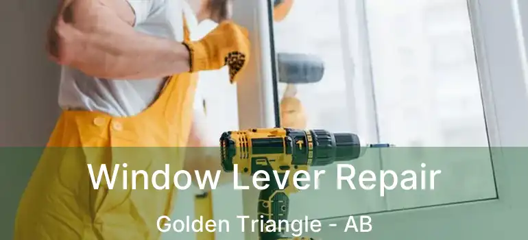  Window Lever Repair Golden Triangle - AB