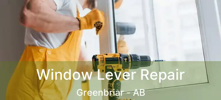  Window Lever Repair Greenbriar - AB