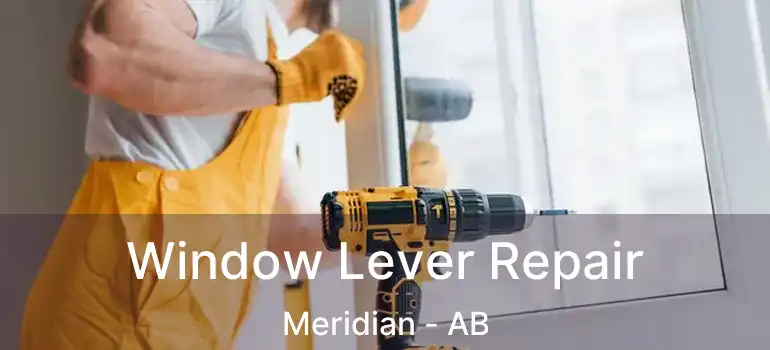  Window Lever Repair Meridian - AB
