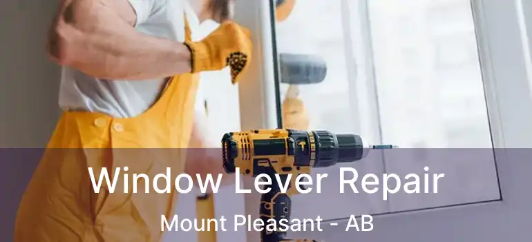  Window Lever Repair Mount Pleasant - AB