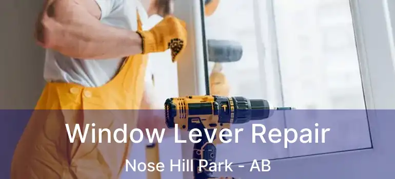  Window Lever Repair Nose Hill Park - AB