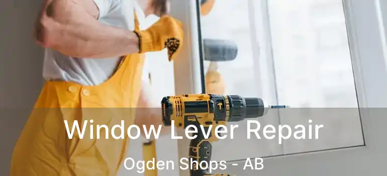  Window Lever Repair Ogden Shops - AB