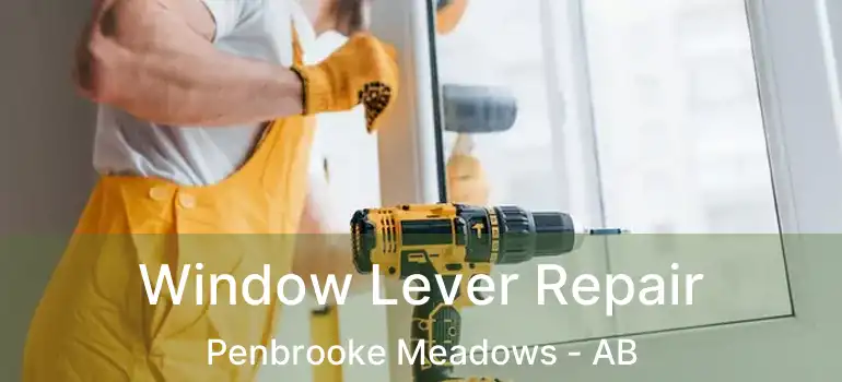  Window Lever Repair Penbrooke Meadows - AB