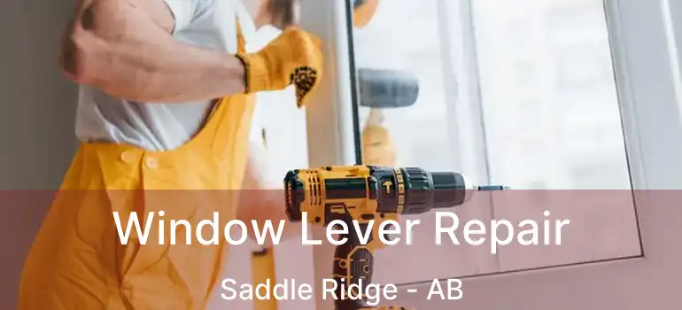  Window Lever Repair Saddle Ridge - AB