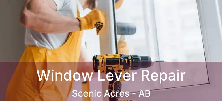  Window Lever Repair Scenic Acres - AB