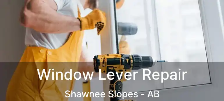  Window Lever Repair Shawnee Slopes - AB