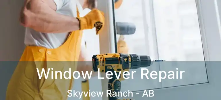  Window Lever Repair Skyview Ranch - AB