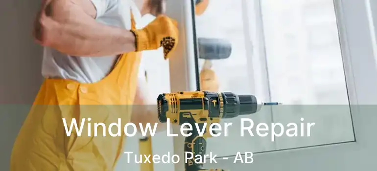  Window Lever Repair Tuxedo Park - AB