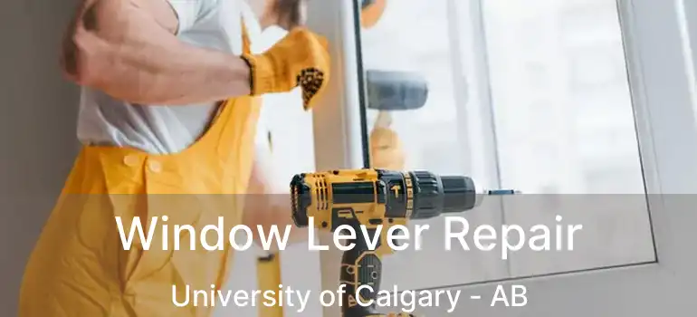  Window Lever Repair University of Calgary - AB