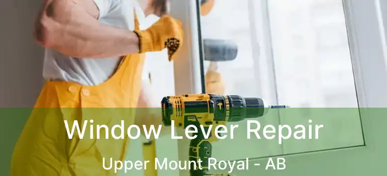  Window Lever Repair Upper Mount Royal - AB
