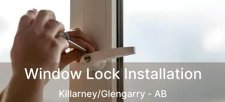  Window Lock Installation Killarney/Glengarry - AB