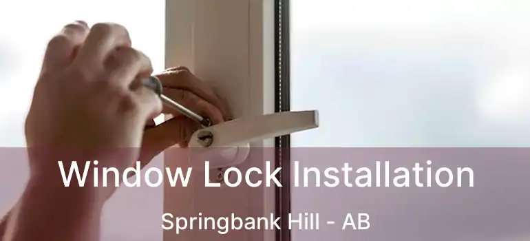  Window Lock Installation Springbank Hill - AB