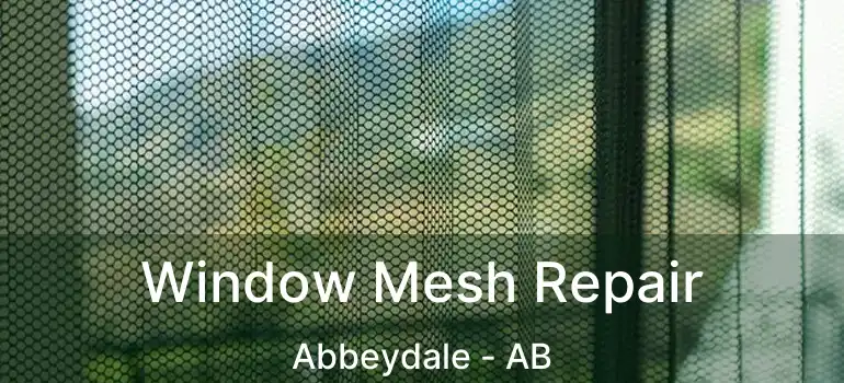  Window Mesh Repair Abbeydale - AB