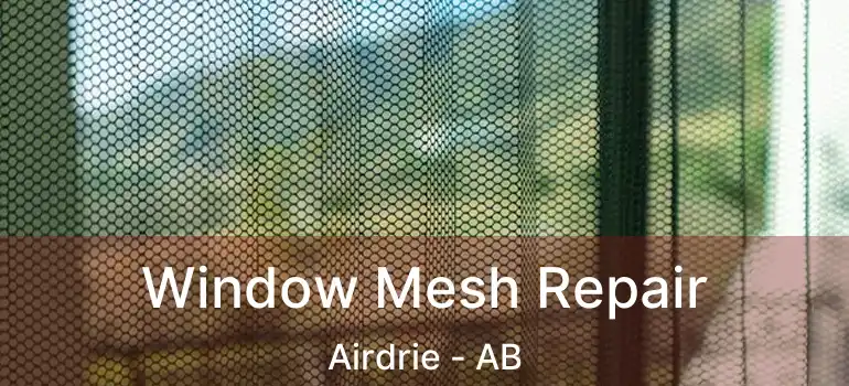  Window Mesh Repair Airdrie - AB