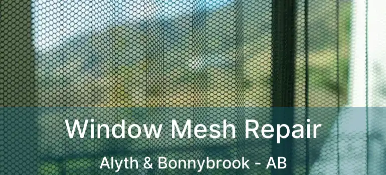  Window Mesh Repair Alyth & Bonnybrook - AB