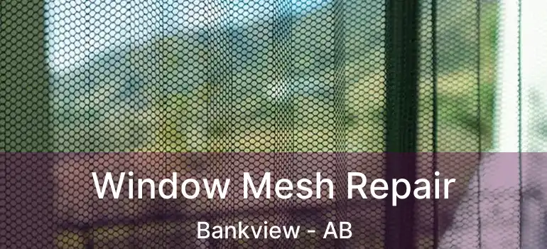  Window Mesh Repair Bankview - AB