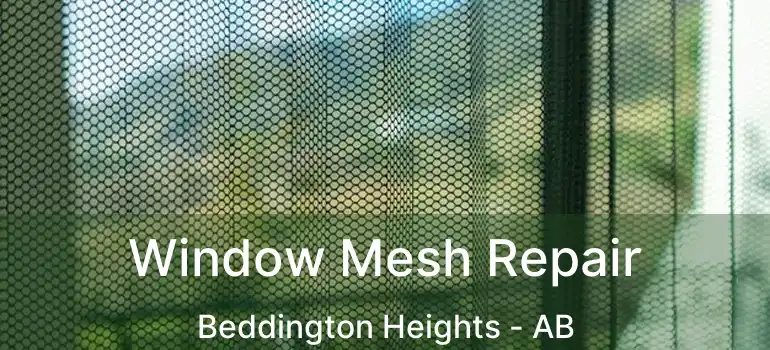  Window Mesh Repair Beddington Heights - AB