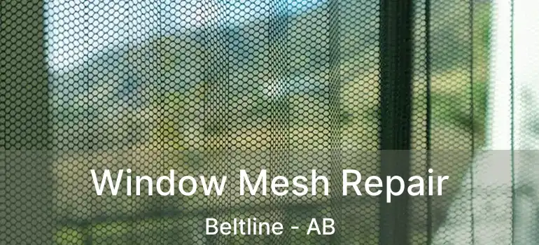  Window Mesh Repair Beltline - AB