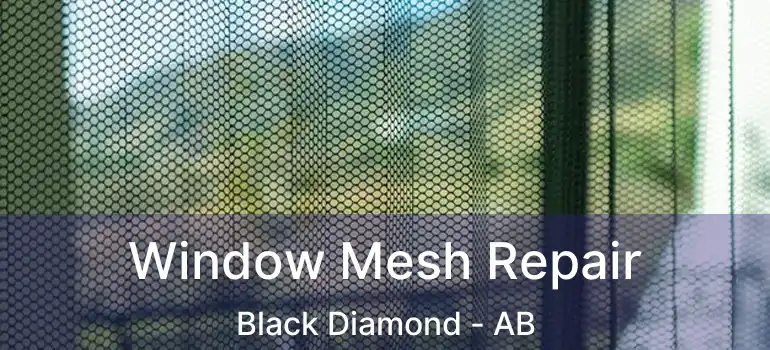  Window Mesh Repair Black Diamond - AB