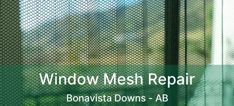  Window Mesh Repair Bonavista Downs - AB