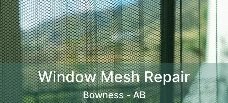  Window Mesh Repair Bowness - AB