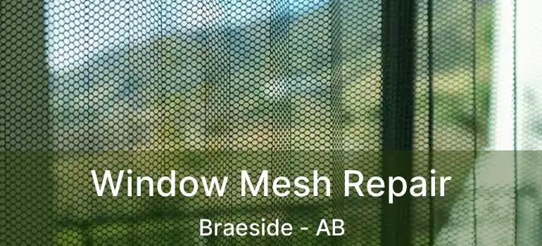  Window Mesh Repair Braeside - AB