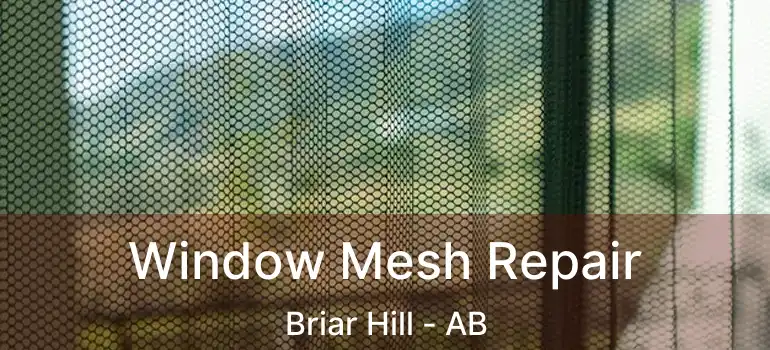 Window Mesh Repair Briar Hill - AB