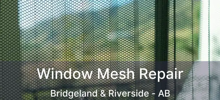  Window Mesh Repair Bridgeland & Riverside - AB