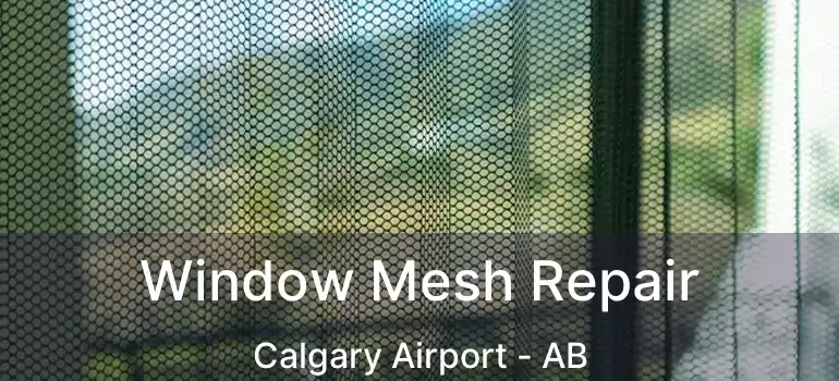  Window Mesh Repair Calgary Airport - AB
