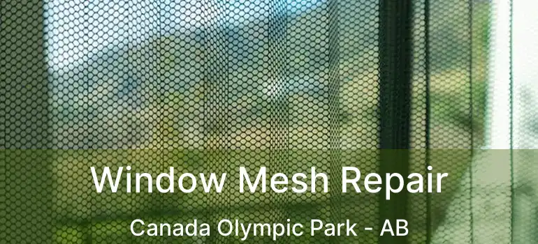  Window Mesh Repair Canada Olympic Park - AB