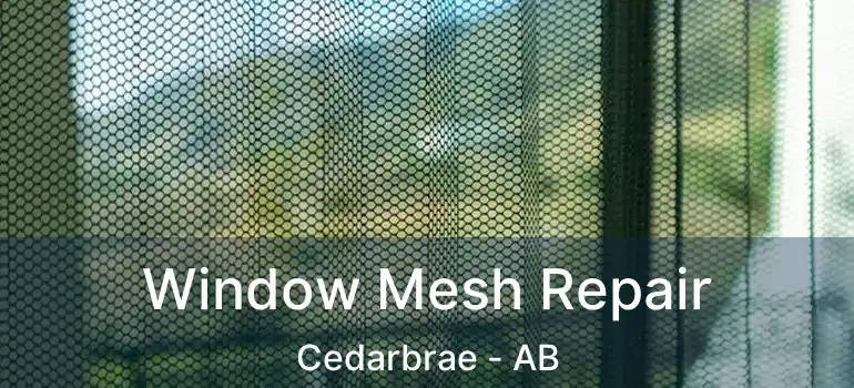  Window Mesh Repair Cedarbrae - AB