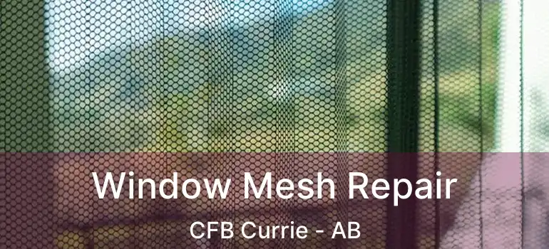  Window Mesh Repair CFB Currie - AB