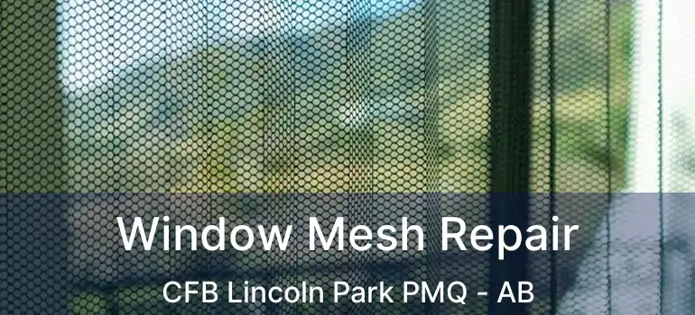  Window Mesh Repair CFB Lincoln Park PMQ - AB