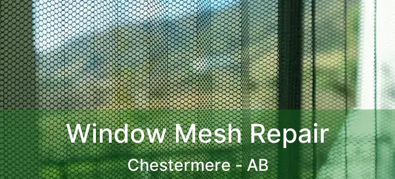  Window Mesh Repair Chestermere - AB
