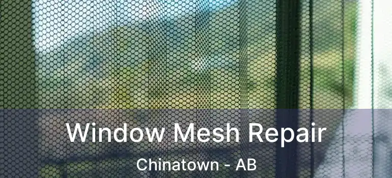  Window Mesh Repair Chinatown - AB