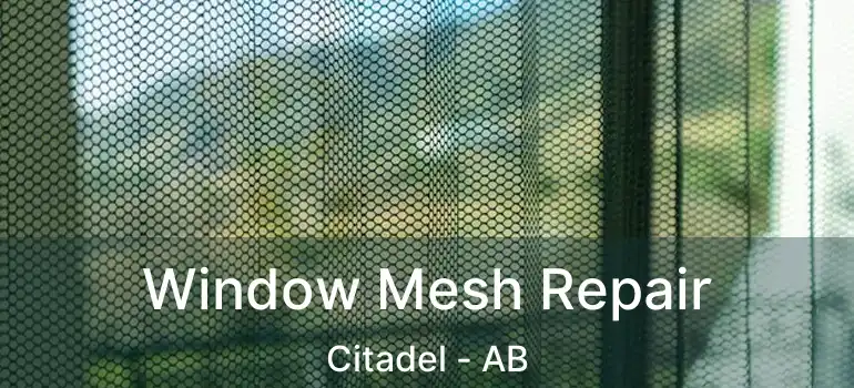  Window Mesh Repair Citadel - AB
