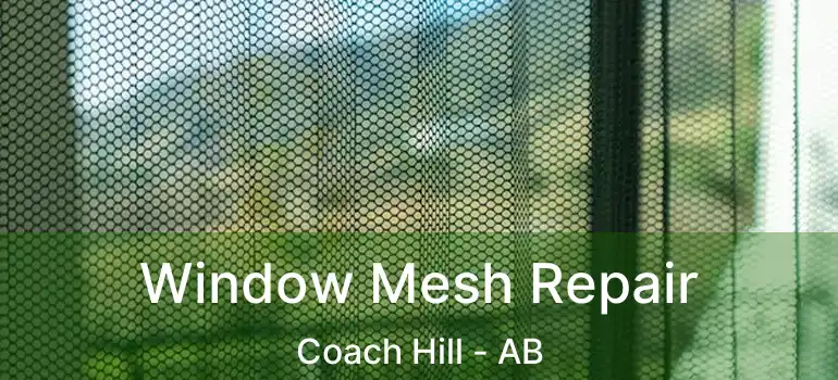  Window Mesh Repair Coach Hill - AB