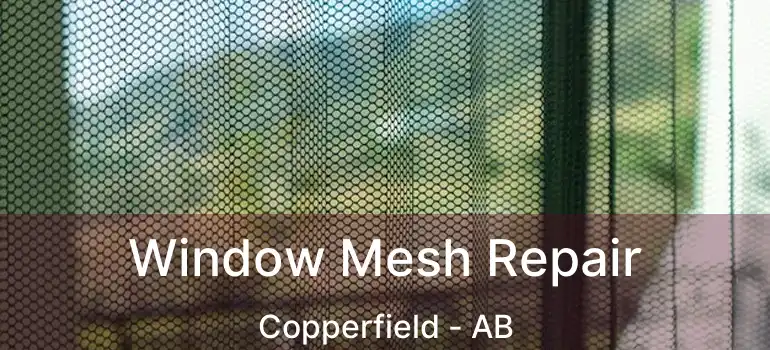  Window Mesh Repair Copperfield - AB