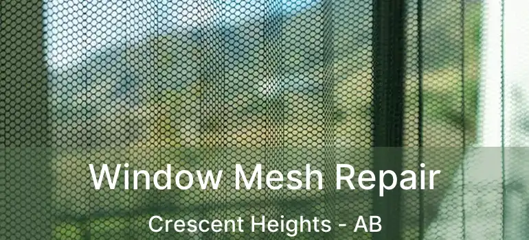  Window Mesh Repair Crescent Heights - AB