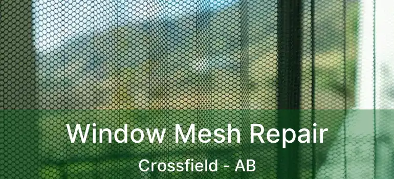  Window Mesh Repair Crossfield - AB