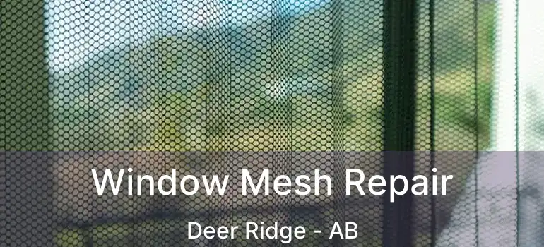  Window Mesh Repair Deer Ridge - AB