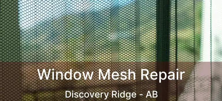  Window Mesh Repair Discovery Ridge - AB