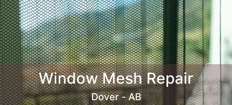  Window Mesh Repair Dover - AB