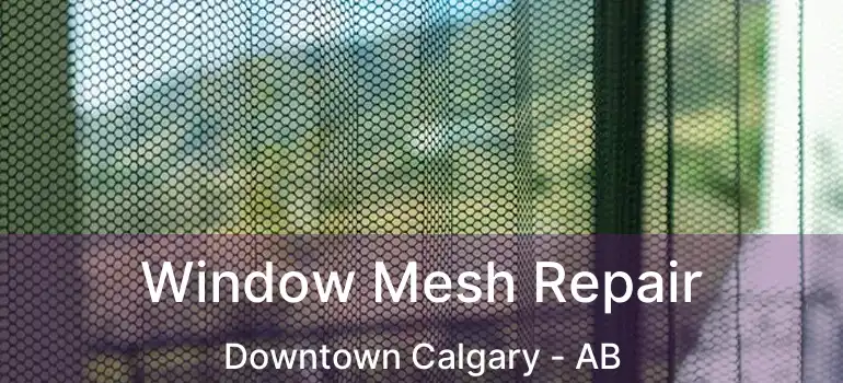  Window Mesh Repair Downtown Calgary - AB