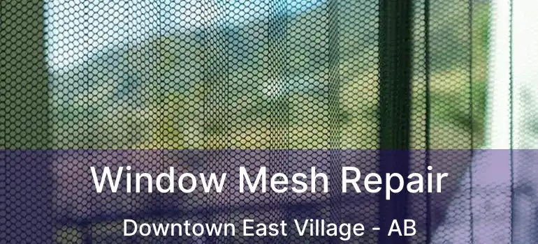  Window Mesh Repair Downtown East Village - AB
