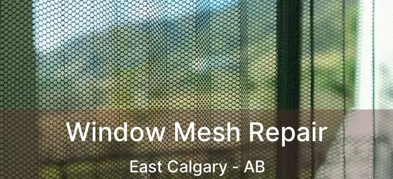  Window Mesh Repair East Calgary - AB