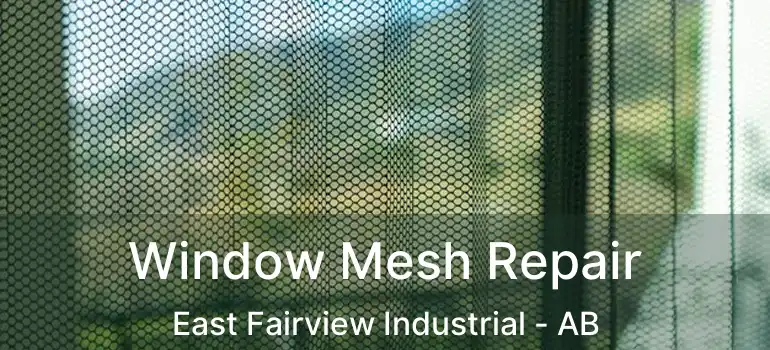  Window Mesh Repair East Fairview Industrial - AB
