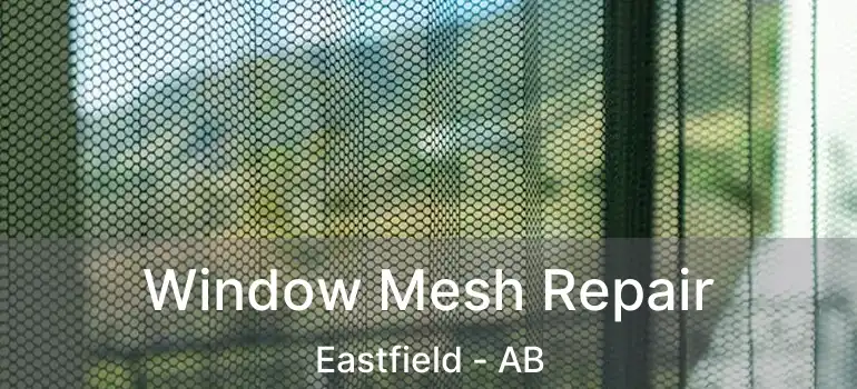  Window Mesh Repair Eastfield - AB