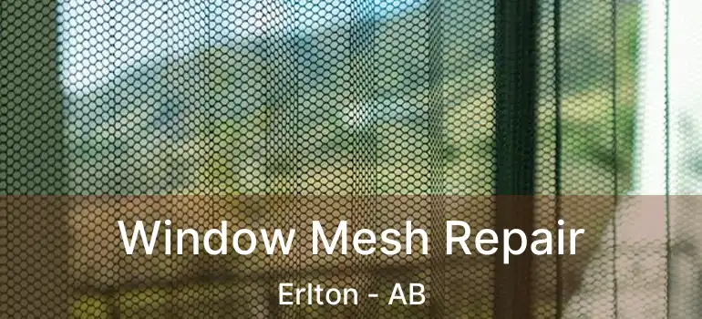  Window Mesh Repair Erlton - AB