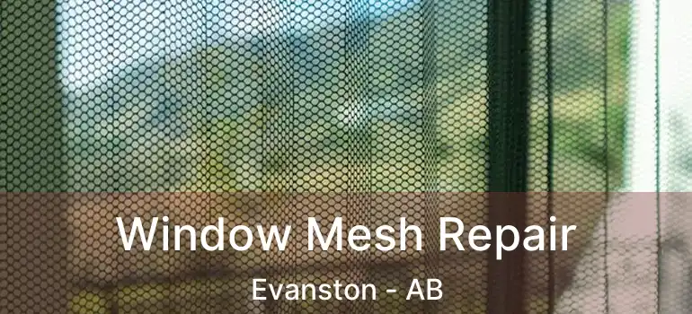  Window Mesh Repair Evanston - AB